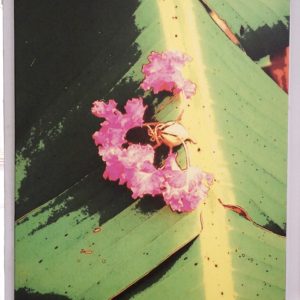 Florida Residents by Bliss