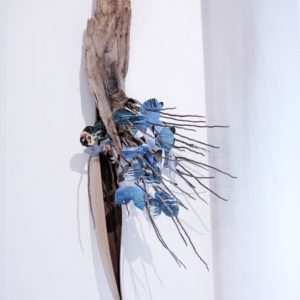 Backyard Beauty by Mario Campa