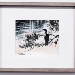 A Beautiful Day by Daniel Graxton