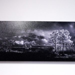 Cypress by George Wilson