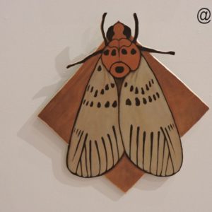 Footman Moth