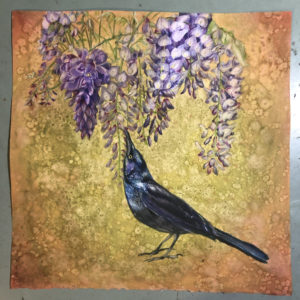 Grackle with Wisteria