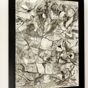 Nature Connections by Emma Clarke