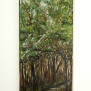 Sunshine On West Orange Trail by Heather Lorenz