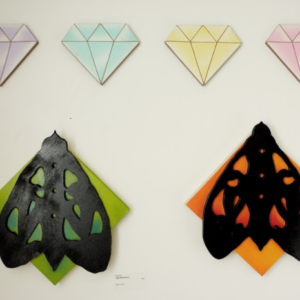 Tiger Moth Cool, Tiger Moth Warm by Parker