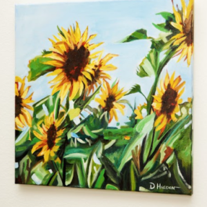 Sunflower Fields by David Higdon