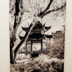 Pagoda Peace by Gwen Kurzen