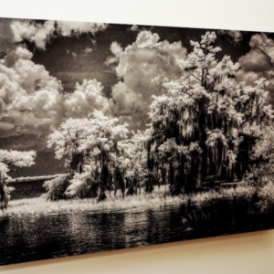 Blue Cypress Hideaway by Gwen Kurzen