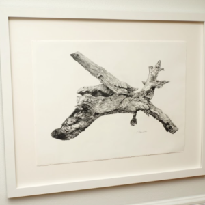 Glider Bird by Nancy Dillen