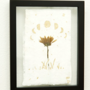 Golden Phases by Alexis Collum