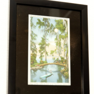 No Return (Dear Friend xxx) by Natasha Harrison