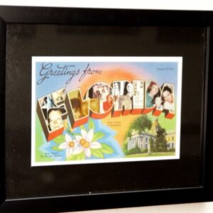 Greetings From Florida (Dear Friend x) by Natasha Harrison