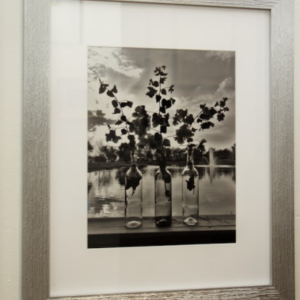 Time in a Bottle by Nina Travieso