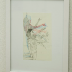 Shadow Dance by Lucy West