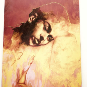 Alas Para Volar (Wings to Fly) by Carla Britto Mattei