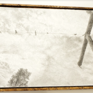 Masses/Rising by Malakai Schulz