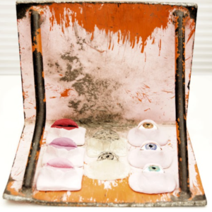 Caution for Beauty by Thomas Scott