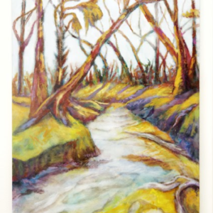 The Little Econ River, Orlando by Virginia Zuelsdorf