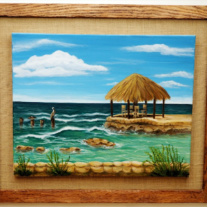 Pelicans Paradise Shared by Cathy Carver