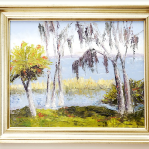 Lake Apopka-Diamond in the Rough by Anita Vrionides