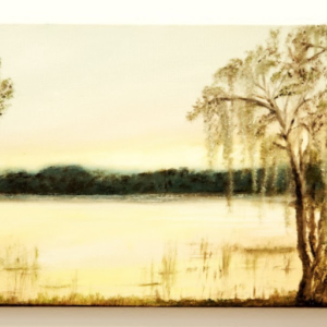 Shine by Heather Lorenz