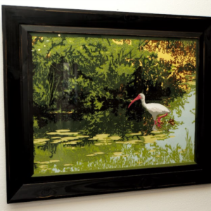 Water Lilies and Ibis by Richard Schuchman