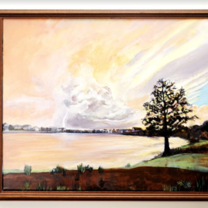 Storm Over Lake Nona by Allison Danielsen