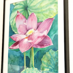 Water Lily in Bloom by Karly Shelton