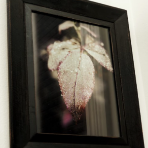 Rainy Day by Yarelis Rojas