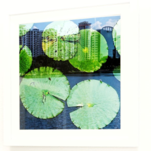 Orlando Mirage: Eola by Nichole Spates