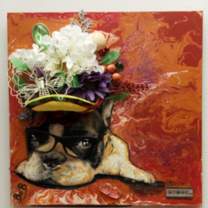 Bright Eyes by Anne Doyle