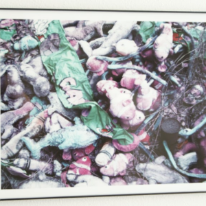 Prizes by Adam Mirajkar