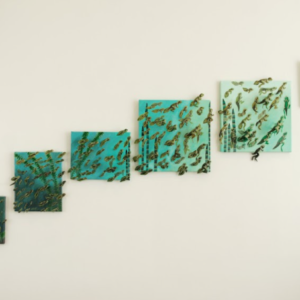 Evolve Phase by Sofia del Real