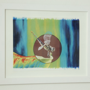 Not Our View (Dragonfly) by Sofia del Real