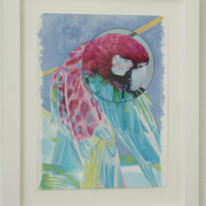 Not Our View (Bird) by Sofia del Real