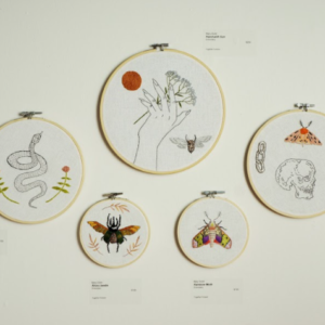 Hand with Sun by Mary Dodd