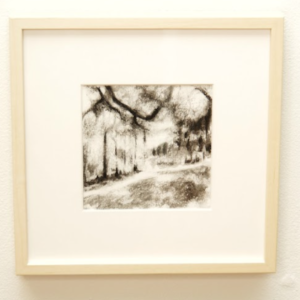 Lake Davis IV by Taylor Scott