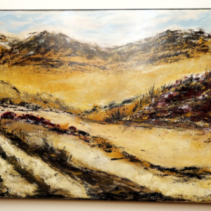 Dreaming of Dixon by Ann Heilbron