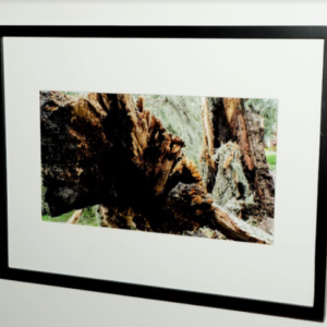 Wrath; Irma by Sara Hollamby