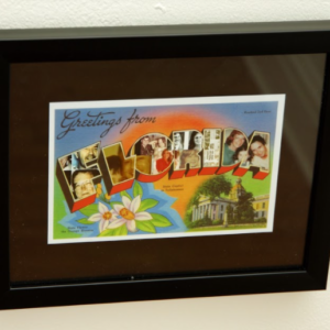 Greetings From Florida by Natasha Harrison