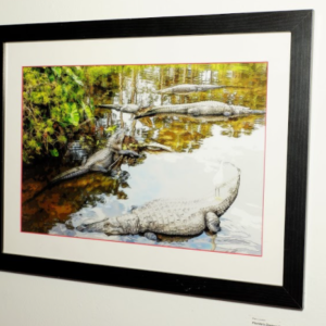 Ancient Wonders by Pam Loudon