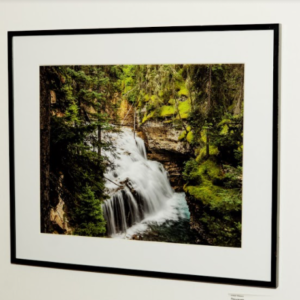 Rejuvenate by Joseph Massey