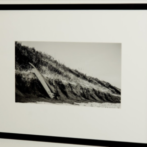 Surfboard by Sara Hollamby