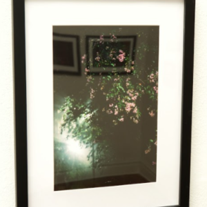 Next to a Dumpster by Jonathan Sookdeo