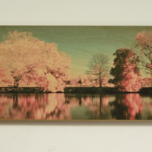 Rite of Spring VI by Sean Wright