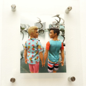 Birds by Mario Campa