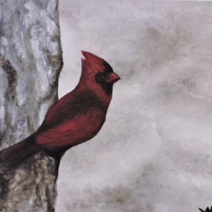 Cardinal by Wendy Keith