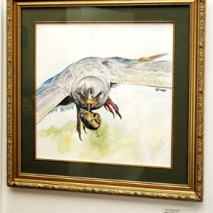 Kite vs. The Apple Snail by Linda Folsom