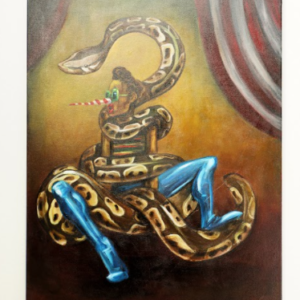 The Snake Catcher by Fernando Molinares