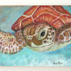 Turtle Underwater by Sara Burr